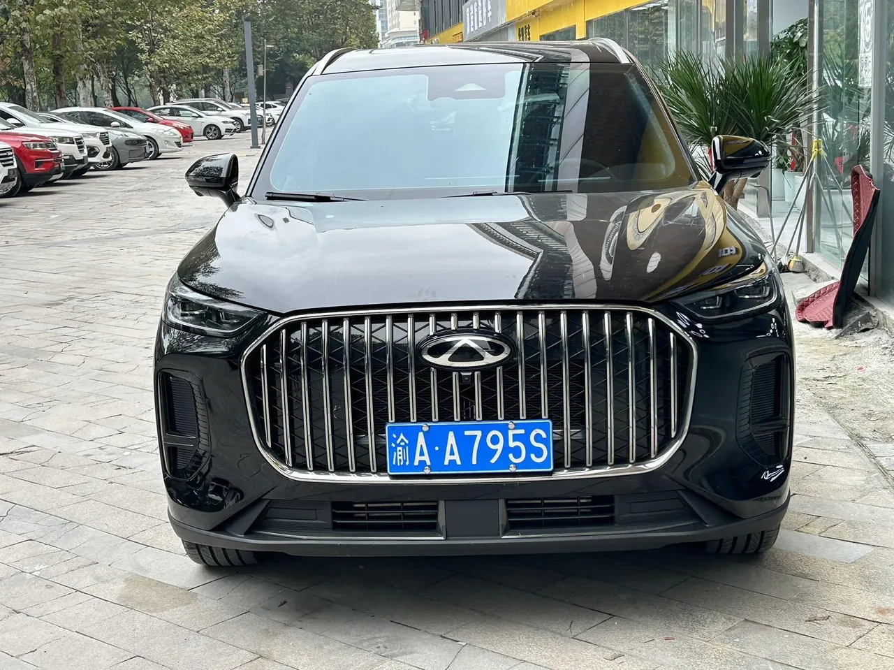 Chery 2026 Ruihu 9X 2.0T Two-wheel Drive Honorable Automatic Gear 3
