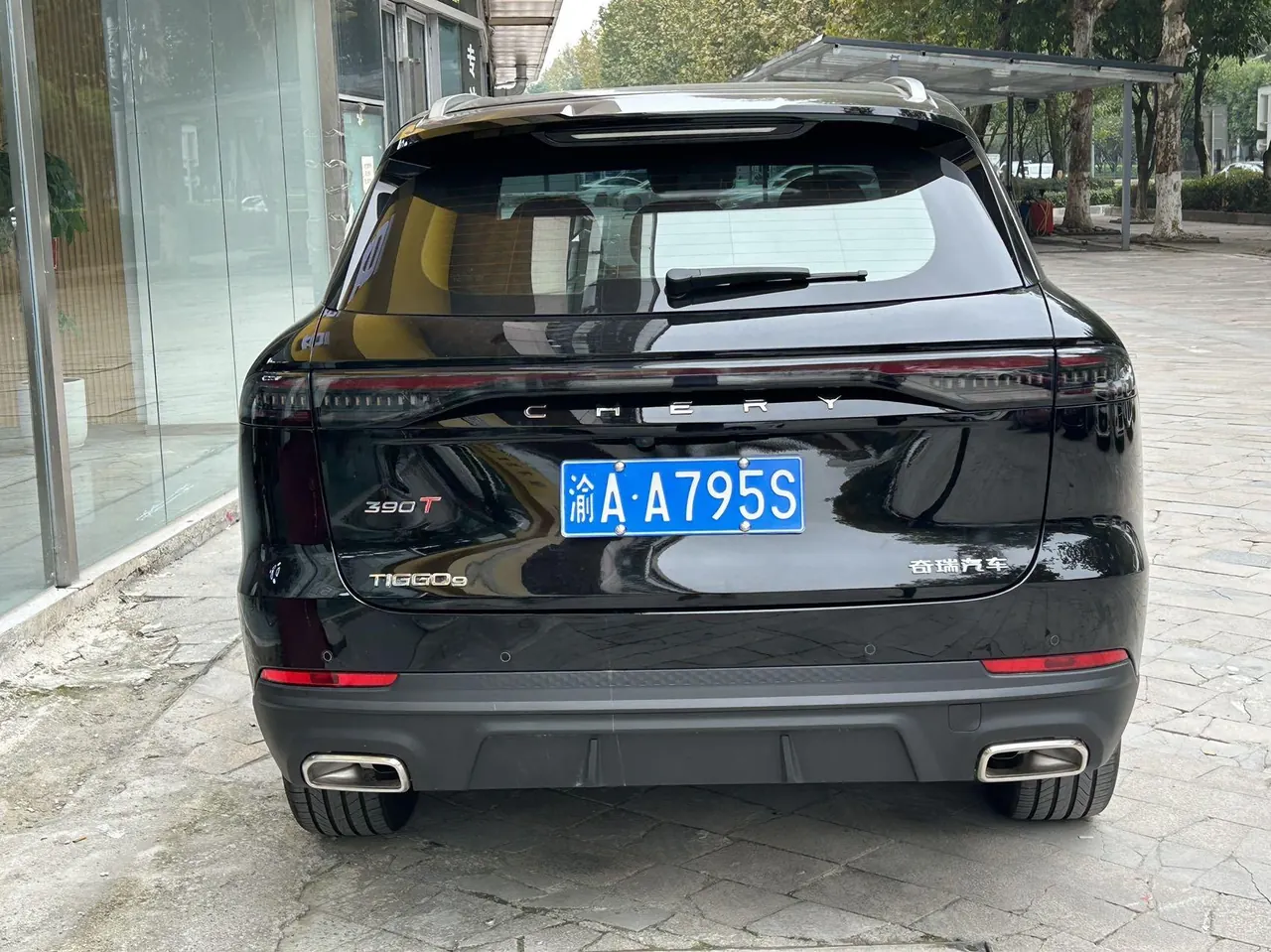 Chery 2026 Ruihu 9X 2.0T Two-wheel Drive Honorable Automatic Gear 4