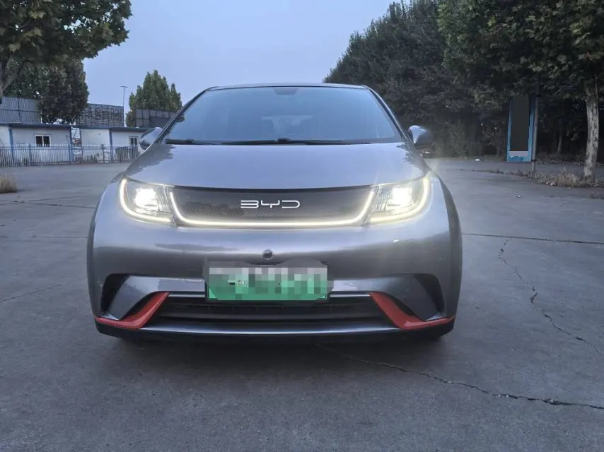 BYD 2021 Dolphin 405km Fashion Edition Automatic 2