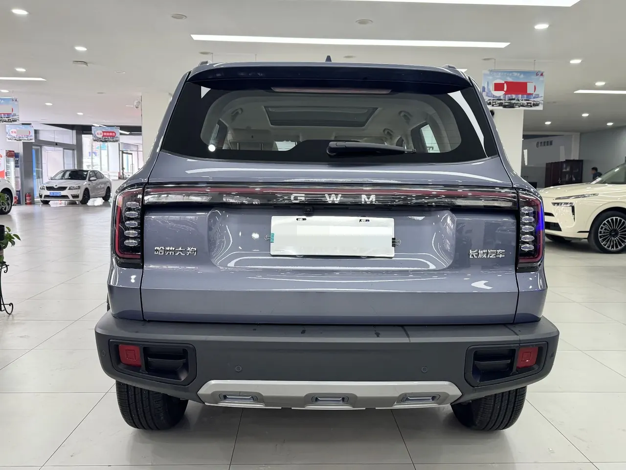 Haval 2026 model Big Dog 1.5T Border Collie Edition Automatic Transmission 9