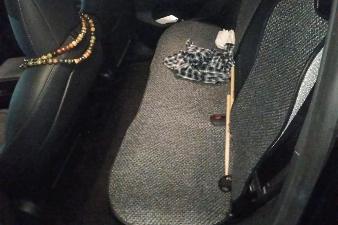 Tesla 2021 Model Y Standard Endurance Rear Drive Automatic Gear 5