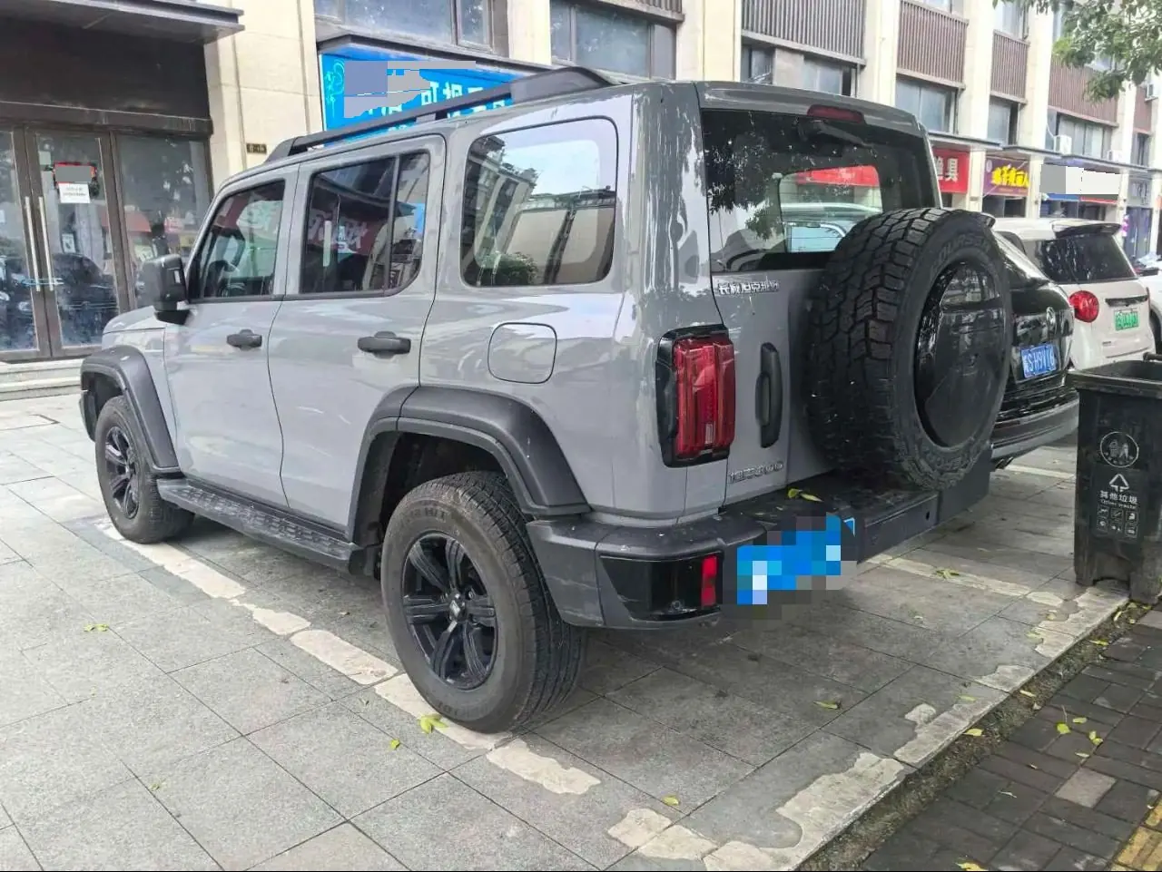 Tank 2021 Tank 300 2.0T Off-road Conqueror Automatic 4