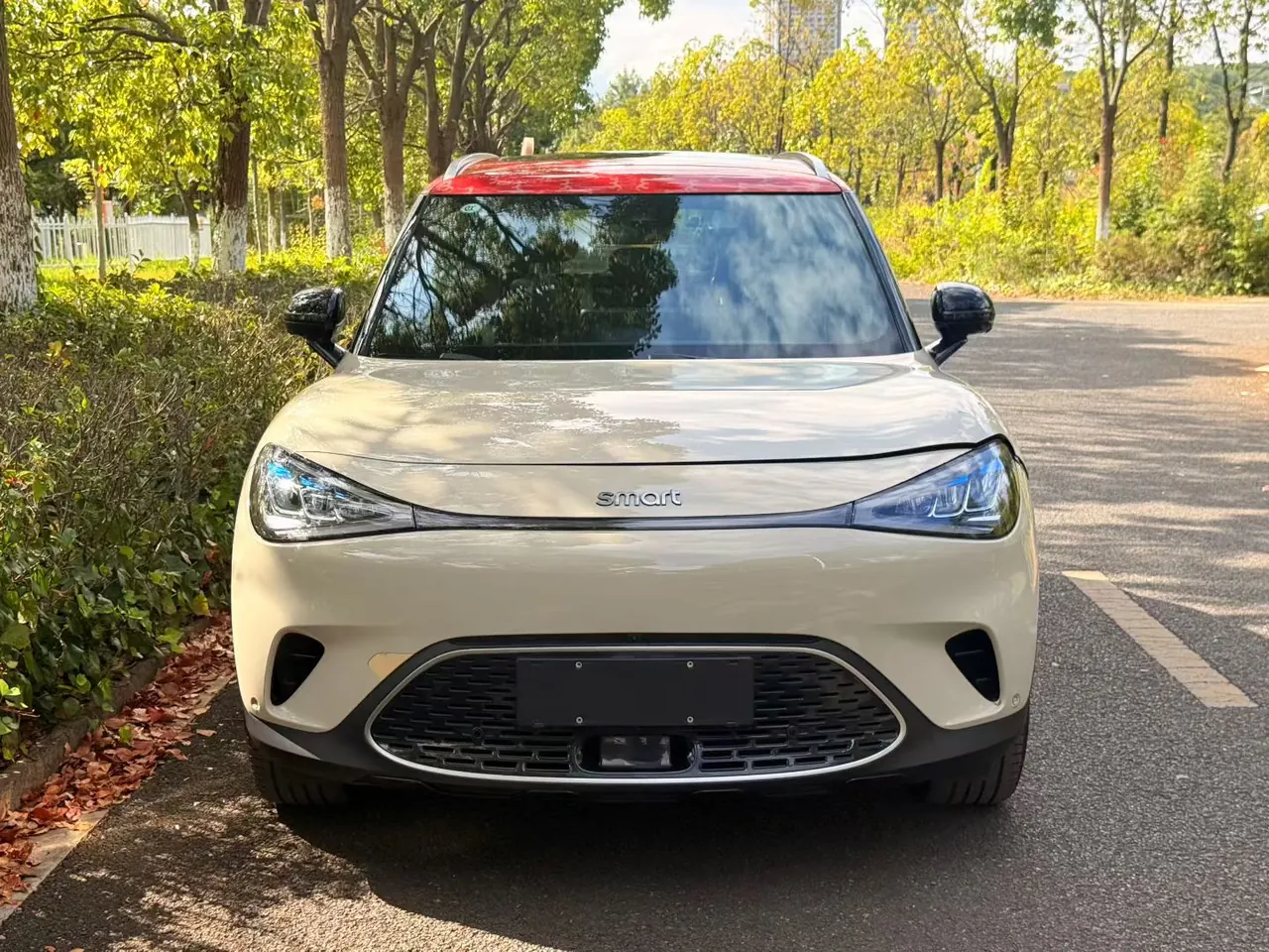 Smart 2026 Smart #1 Smart New Luxury Automatic Gear 2