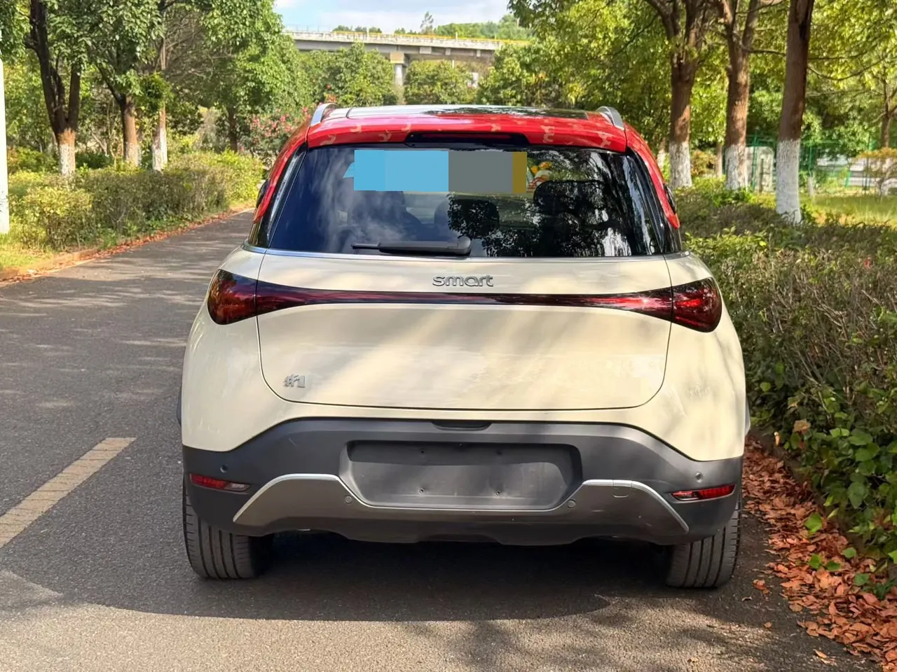 Smart 2026 Smart #1 Smart New Luxury Automatic Gear 4