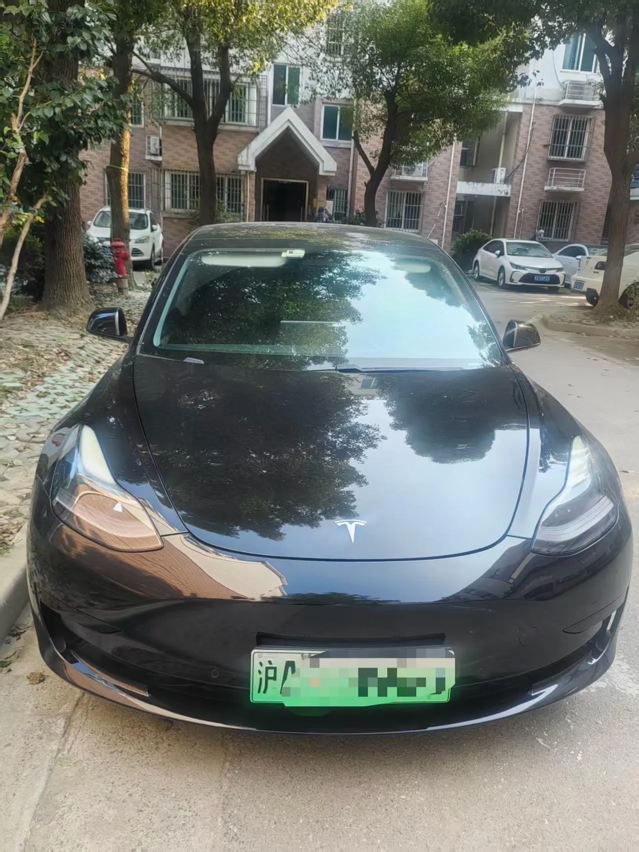 Tesla 2021 Model 3 Standard Endurance Rear Drive Upgraded Automatic Gear 2