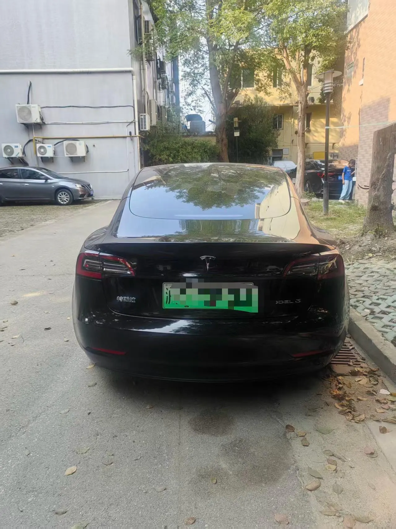 Tesla 2021 Model 3 Standard Endurance Rear Drive Upgraded Automatic Gear 4