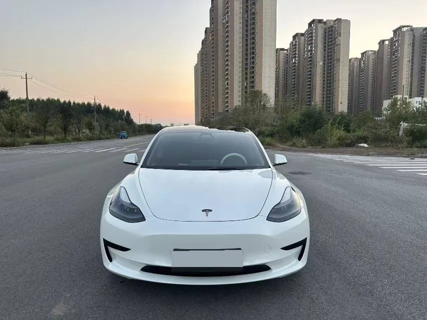 Tesla 2021 Model 3 Standard Endurance Rear Drive Upgraded Automatic Gear 2