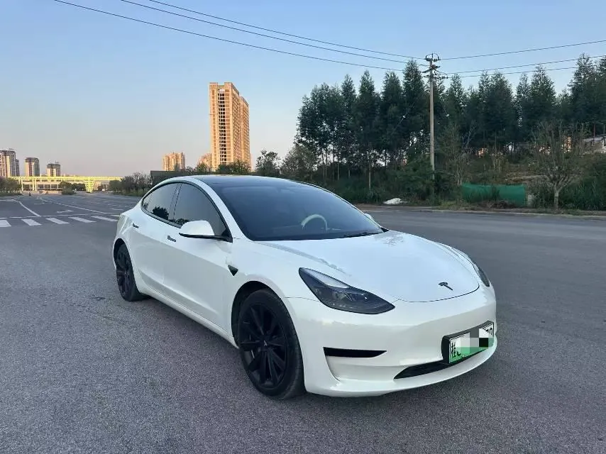 Tesla 2021 Model 3 Standard Endurance Rear Drive Upgraded Automatic Gear 3