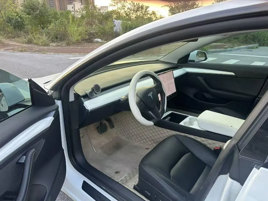 Tesla 2021 Model 3 Standard Endurance Rear Drive Upgraded Automatic Gear 4