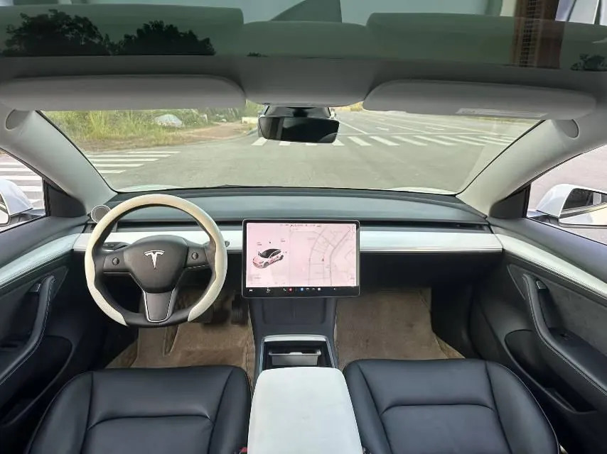 Tesla 2021 Model 3 Standard Endurance Rear Drive Upgraded Automatic Gear 5