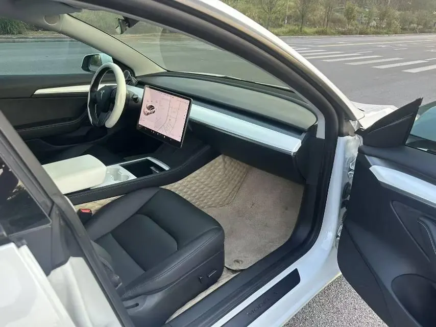 Tesla 2021 Model 3 Standard Endurance Rear Drive Upgraded Automatic Gear 6