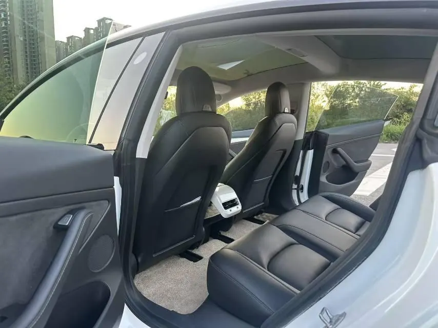 Tesla 2021 Model 3 Standard Endurance Rear Drive Upgraded Automatic Gear 7