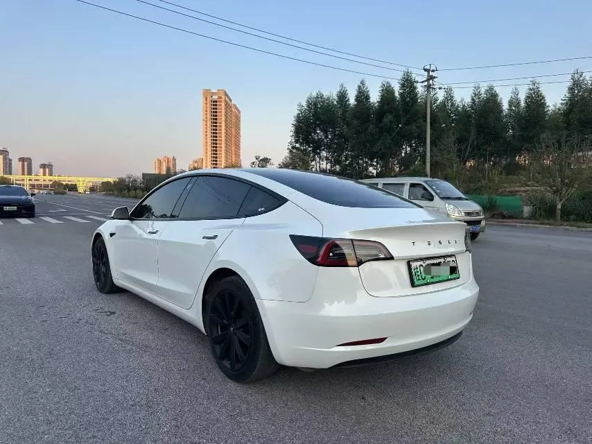 Tesla 2021 Model 3 Standard Endurance Rear Drive Upgraded Automatic Gear 8