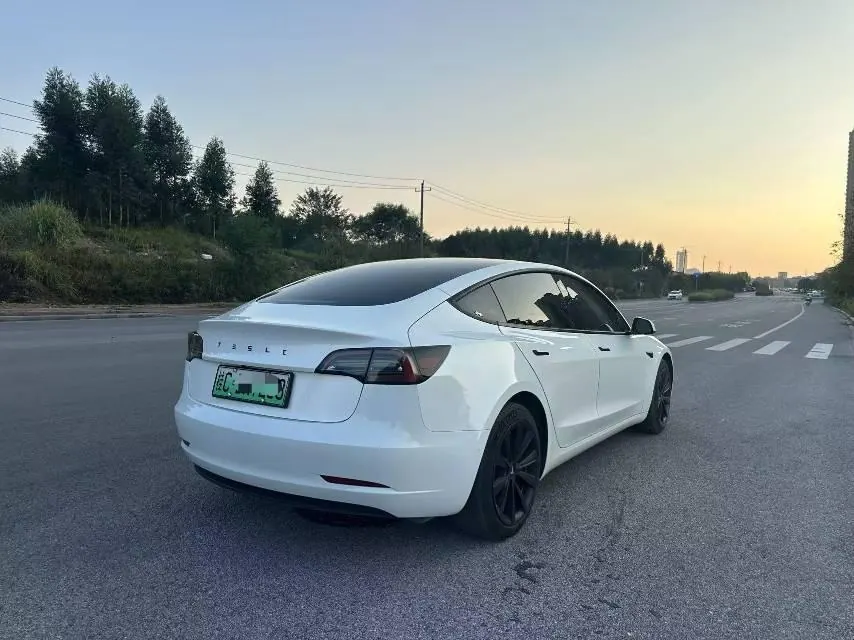 Tesla 2021 Model 3 Standard Endurance Rear Drive Upgraded Automatic Gear 9