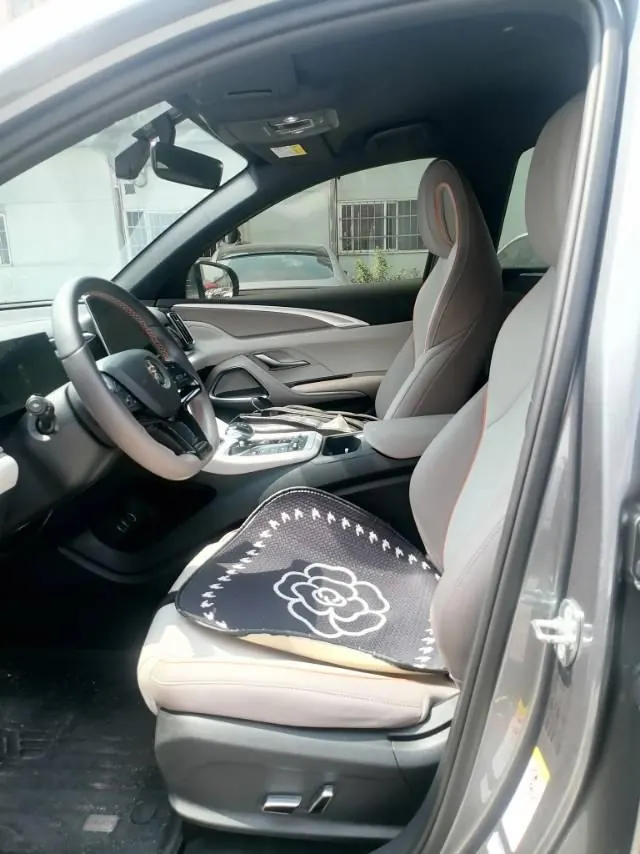 BYD Song Pro New Energy 2024 Song Pro DM-i 1.5 Stepless Glory Edition Pilot 71KM Automatic Gear 2