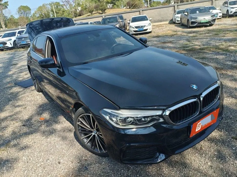 BMW 5 Series 2020 530Li 2.0T Leading M Sports Suit Automatic Gear 10