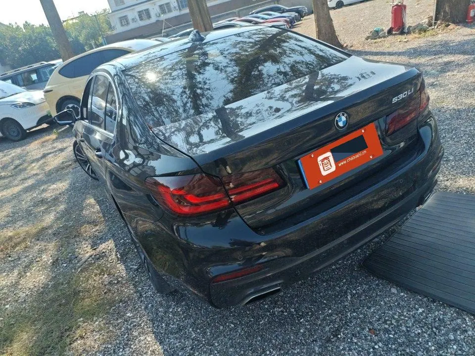 BMW 5 Series 2020 530Li 2.0T Leading M Sports Suit Automatic Gear 6