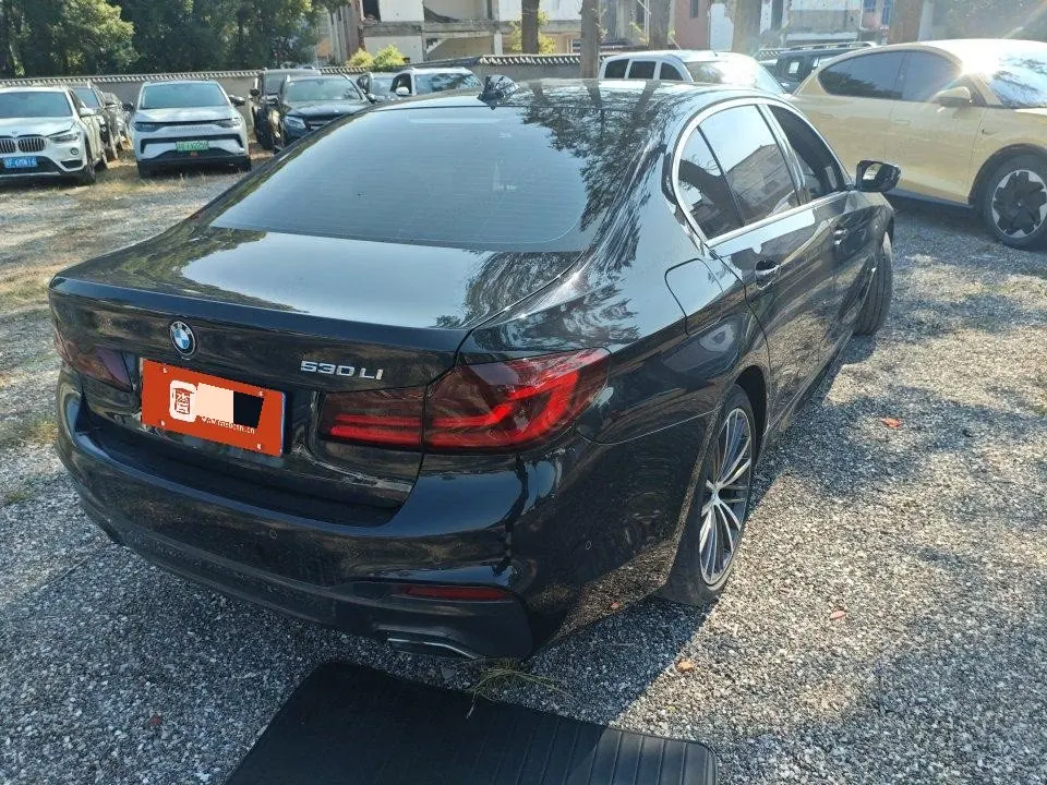 BMW 5 Series 2020 530Li 2.0T Leading M Sports Suit Automatic Gear 7