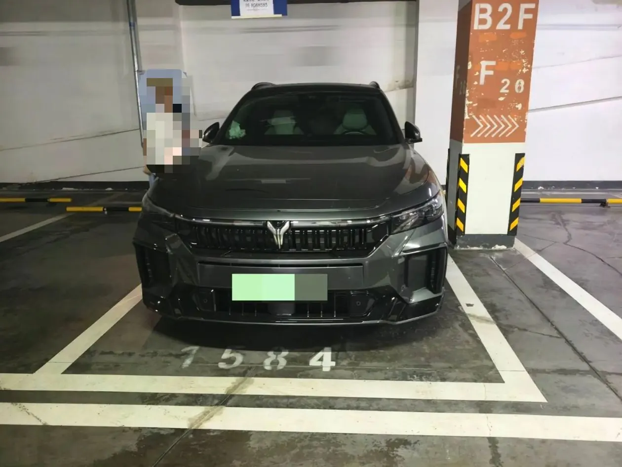 Voyah 2025 FREE 318 318km Rear Drive Tour Edition Automatic Gear 7