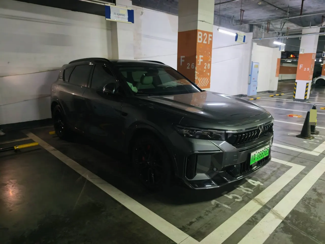 Voyah 2025 FREE 318 318km Rear Drive Tour Edition Automatic Gear 8