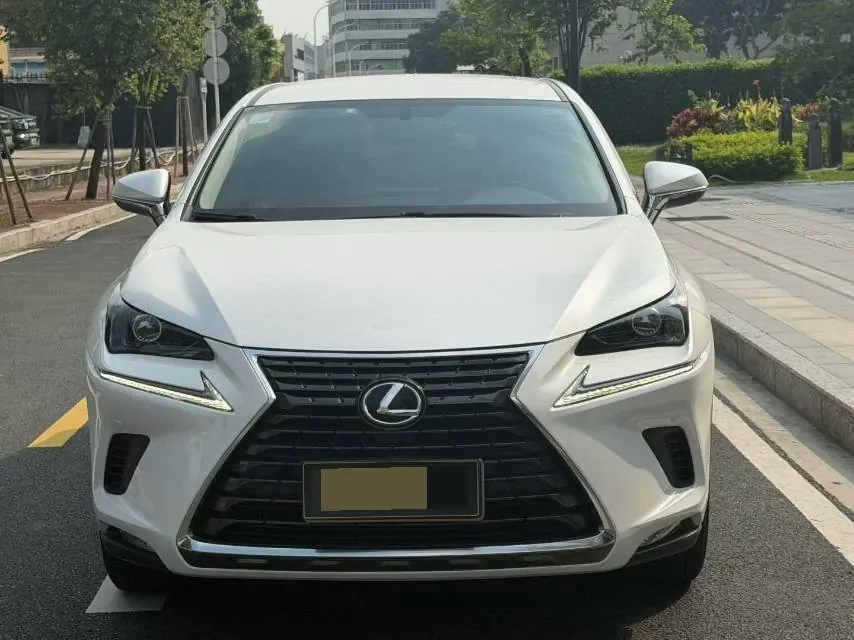 Lexus NX (Imported) 2020 NX200 2.0 Stepless Front Edition Automatic Gear 3