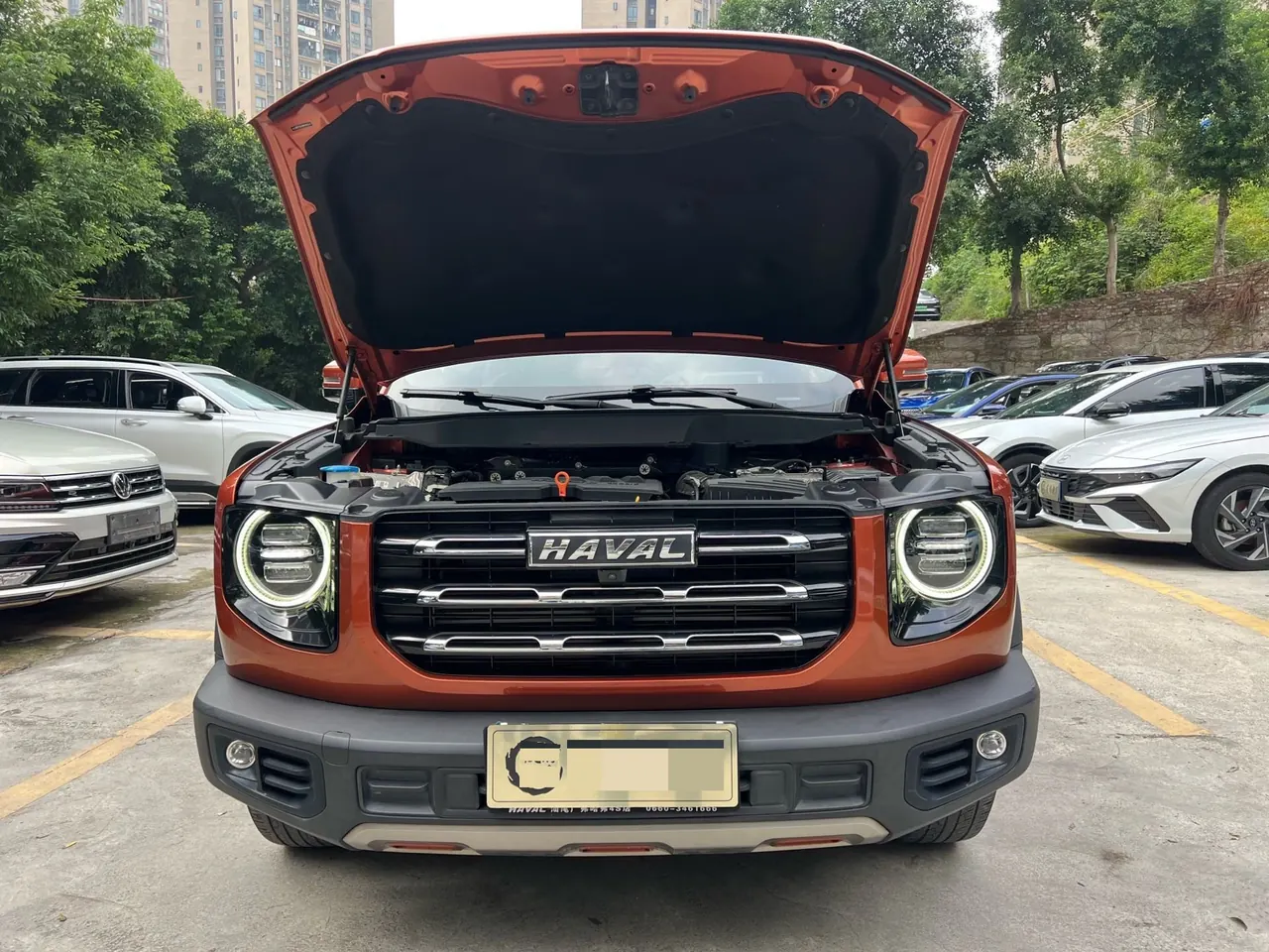 Haval 2020 big dog 1.5T Labrador version automatic gear 12