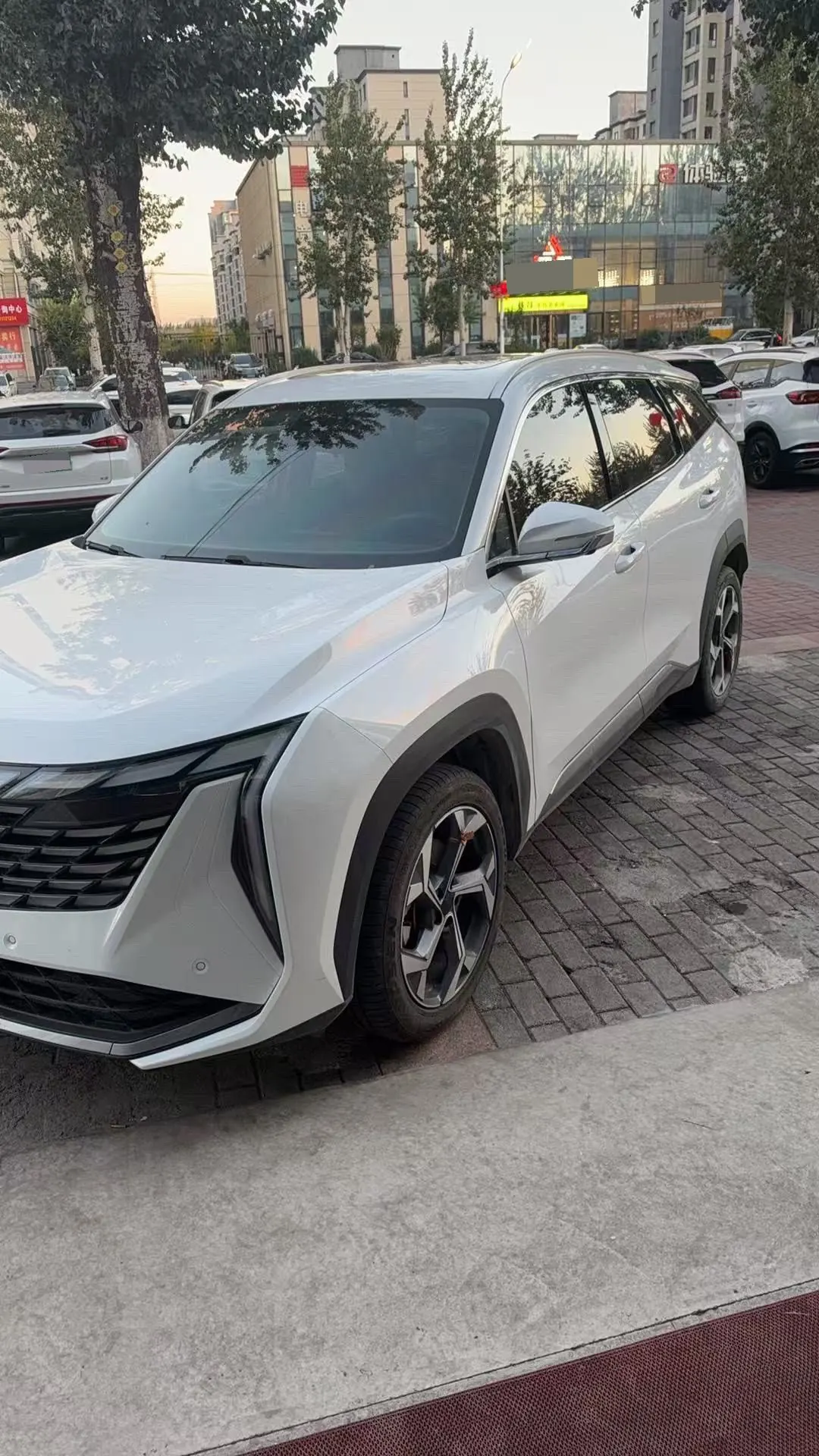 Geely 2023 Boyue L 1.5TD Honorable Automatic Transmission 10