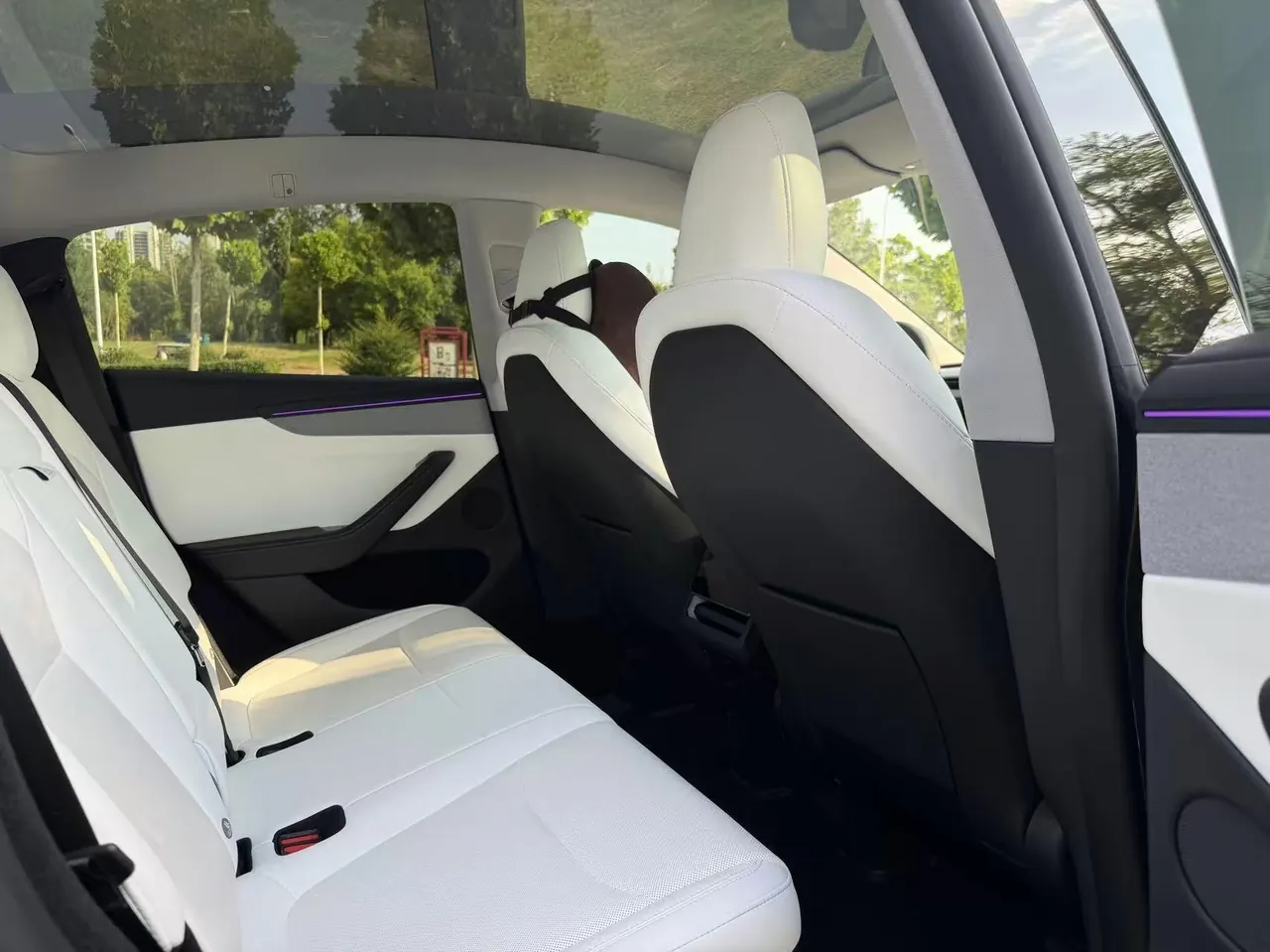 Tesla 2025 Model Y rear-wheel drive version automatic transmission 8
