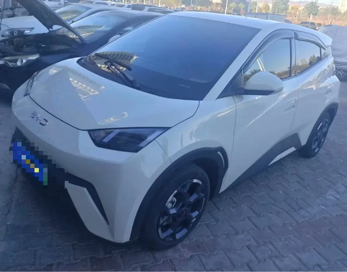 BYD 2025 Seagull 405km Flying Edition Automatic Gear - View 1