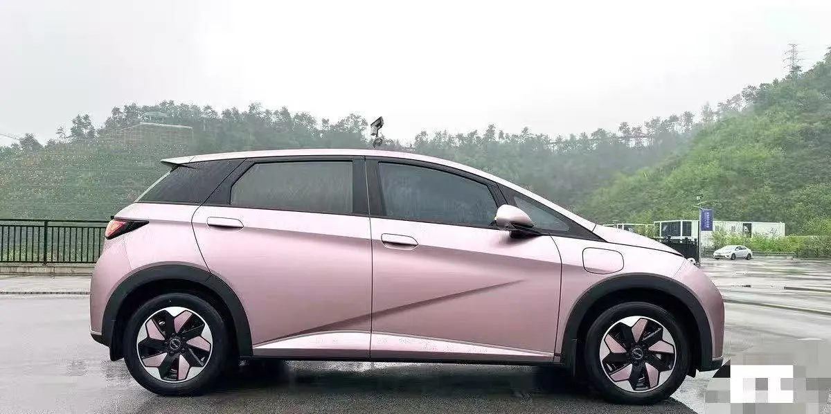 BYD 2025 Dolphins 420km Free Edition Automatic 5