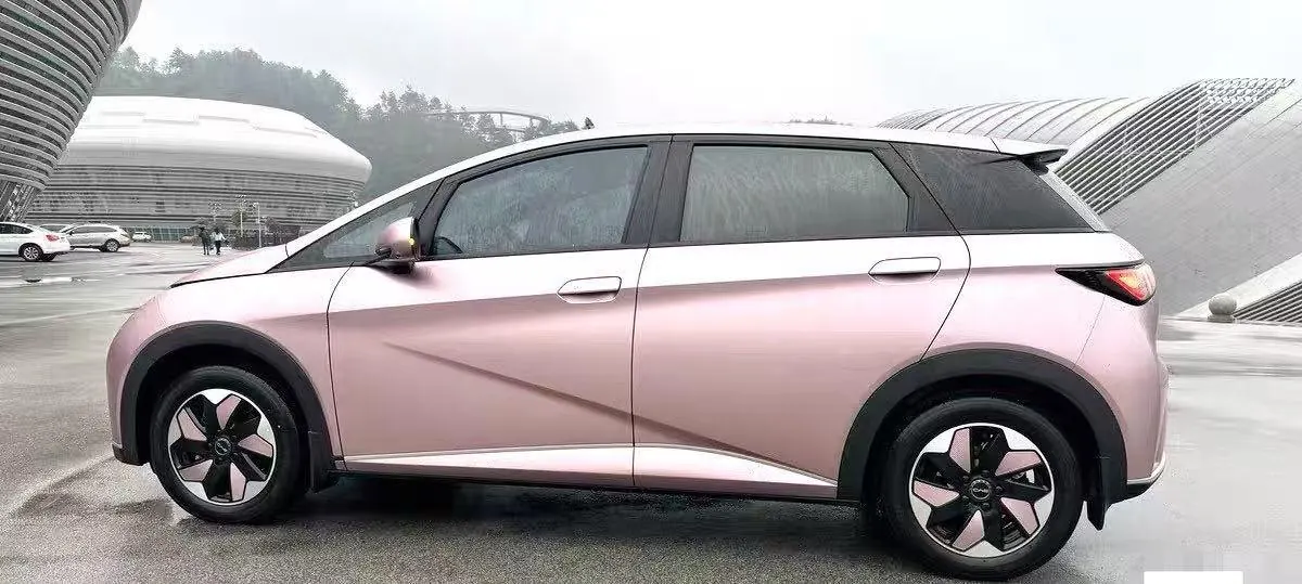 BYD 2025 Dolphins 420km Free Edition Automatic 6