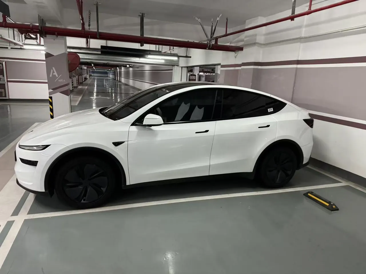 Tesla 2026 Model Y Long Range Rear-Wheel-Drive Automatic 5