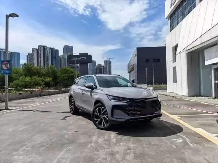 BYD Tang New Energy 2025 Tang DM-i 1.5T Stepless Smart Driving Edition 175KM Laser Radar Flagship Automatic Gear 3