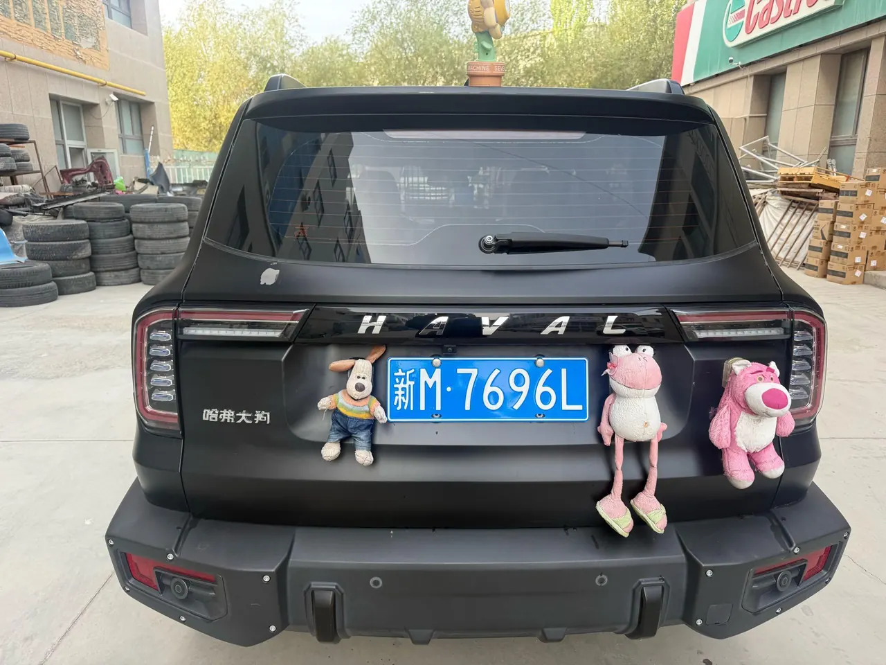 Haval 2022 big dog 2.0T 4-wheel drive asthma dog hunting version automatic gear 8