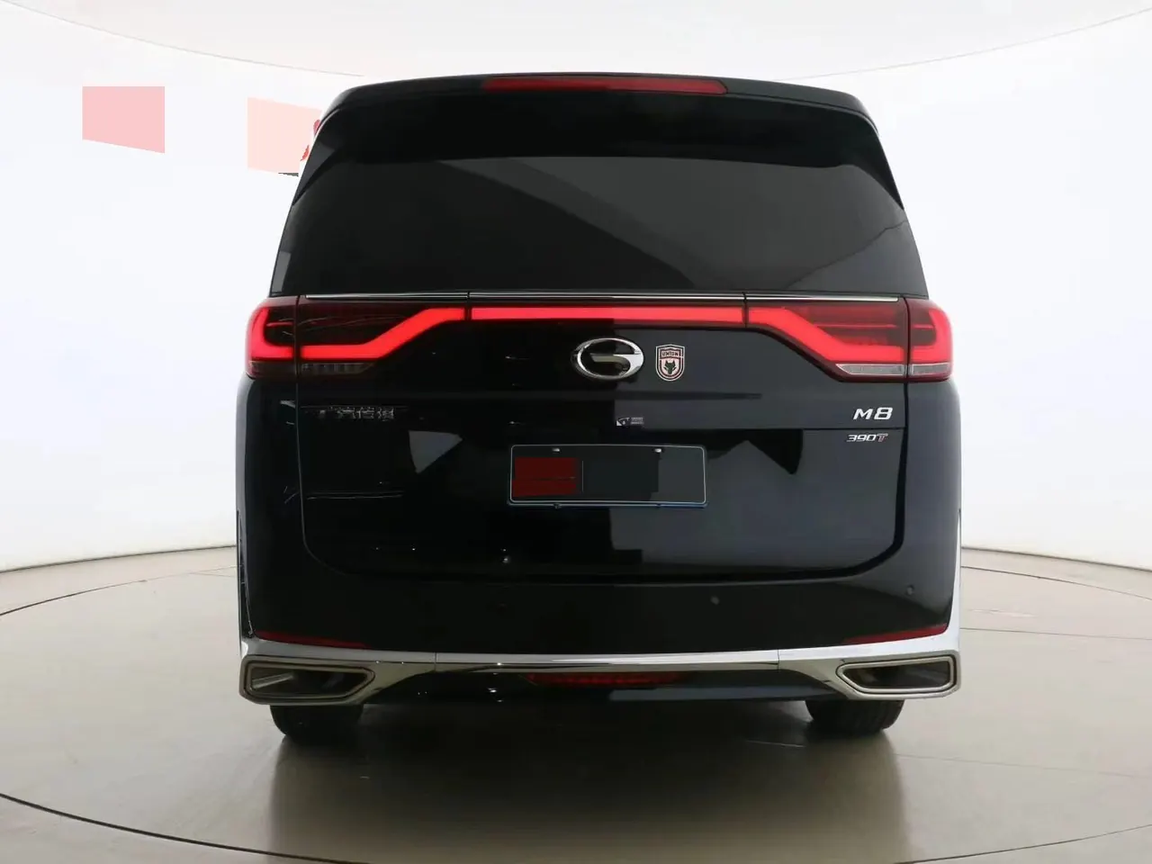 Chuanqi 2023 M8 2.0T 390T Leading Show Series Exclusive Edition Automatic Gear 4