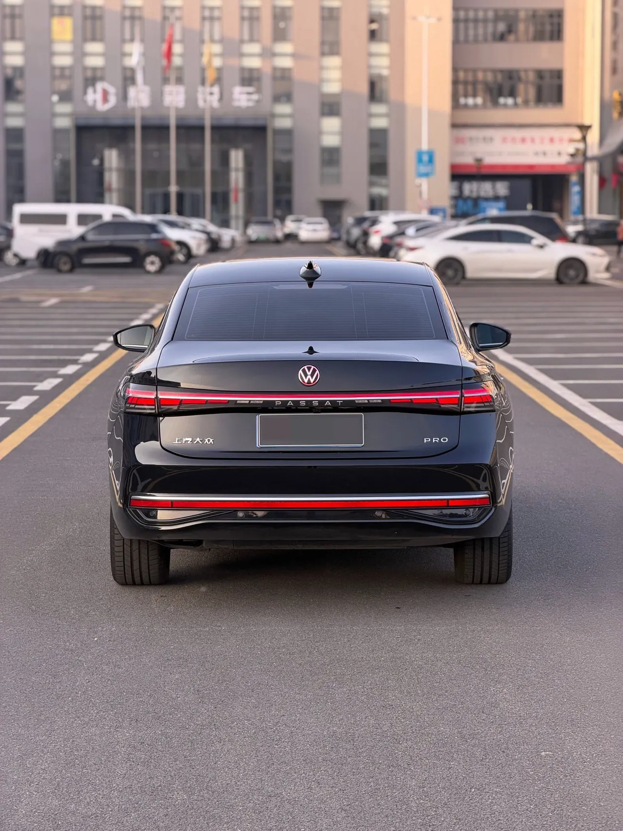 Volkswagen 2026 Passat Pro 2.0TSI 380TSI Long Yao Edition Automatic 5