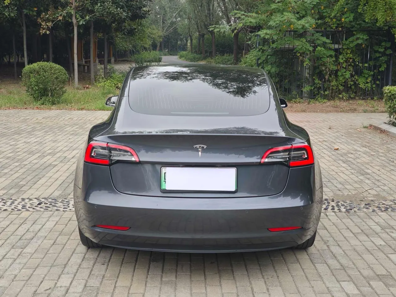 Tesla 2020 Model 3 Standard Endurance Rear Drive Upgraded Automatic Gear 6