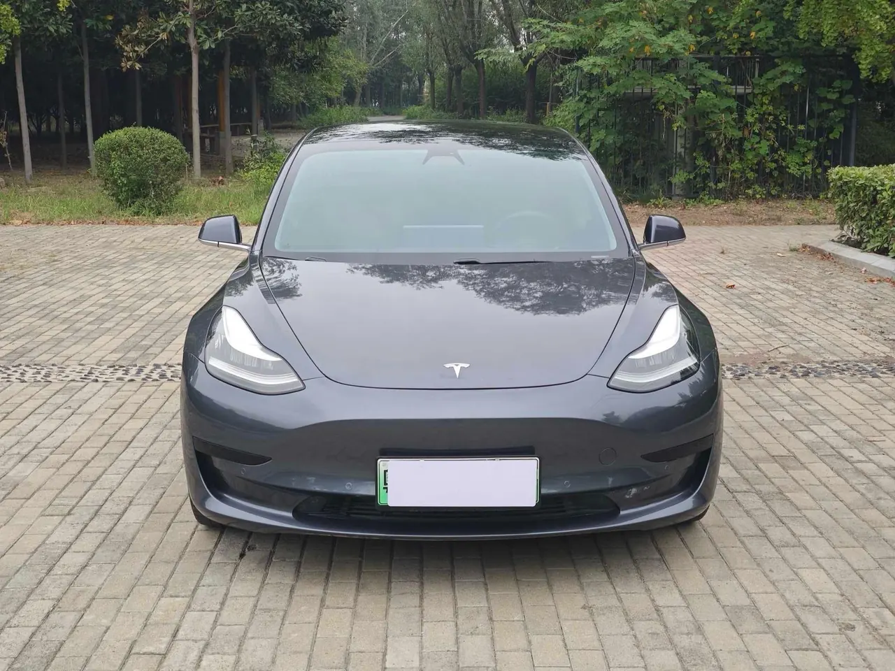 Tesla 2020 Model 3 Standard Endurance Rear Drive Upgraded Automatic Gear 9