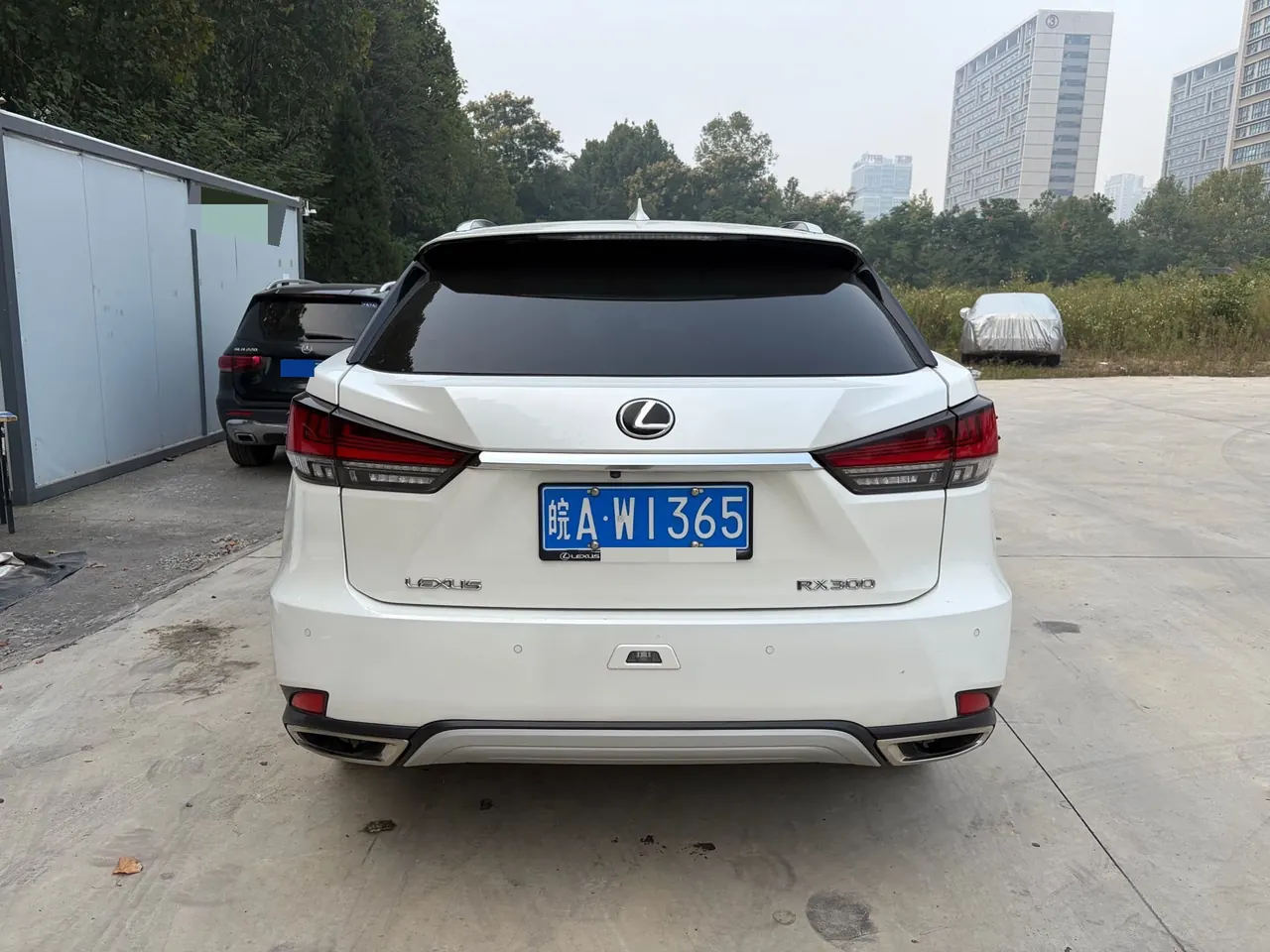 Lexus RX (Imported) 2020 RX300 2.0T Four-wheel Drive Elegant Edition (Modified) Automatic Gear 8