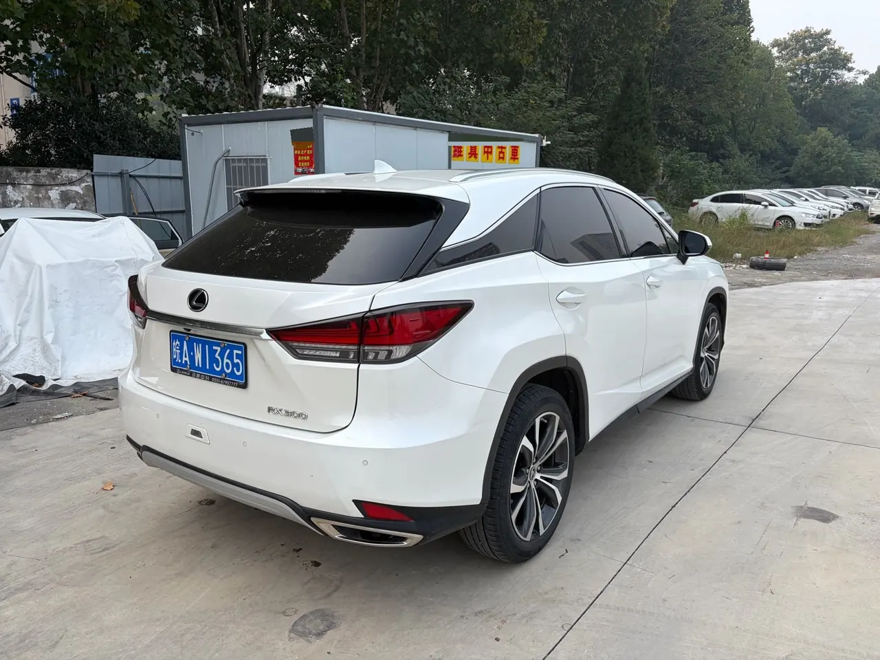 Lexus RX (Imported) 2020 RX300 2.0T Four-wheel Drive Elegant Edition (Modified) Automatic Gear 9
