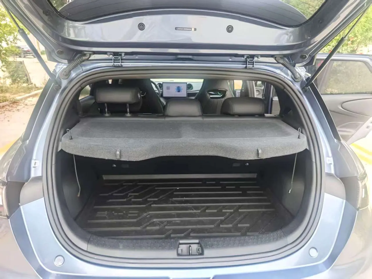 BYD 2025 Dolphin 420km Vital Edition Automatic Gear 6