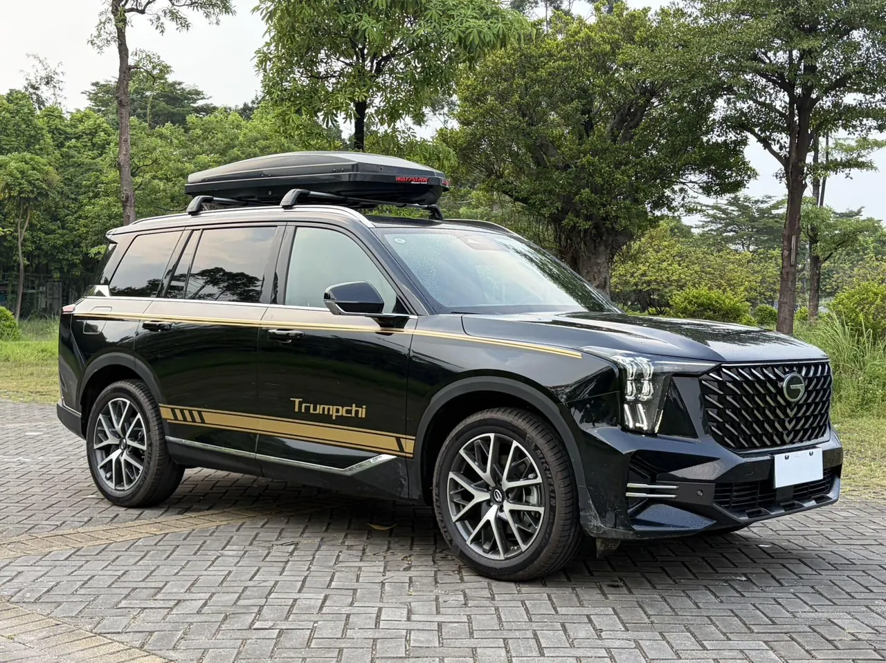 Chuanqi 2024 GS8 2.0TGDI Pilot Series Two-Drive Deluxe Zhilian Edition Automatic Gear 3