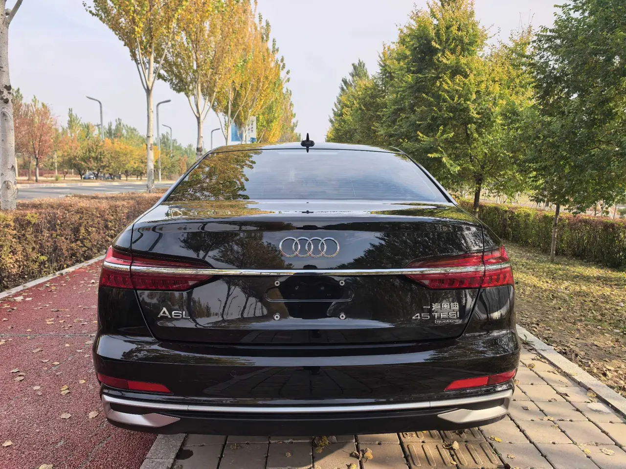 Audi 2023 A6L 2.0TFSI 45TFSI Selected Dynamic Automatic 8
