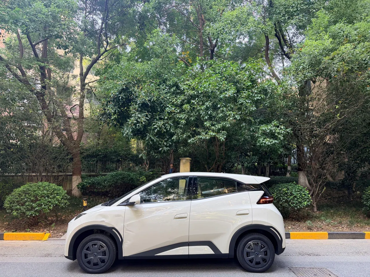 BYD 2026 seagulls 305km dynamic version of automatic gear 2