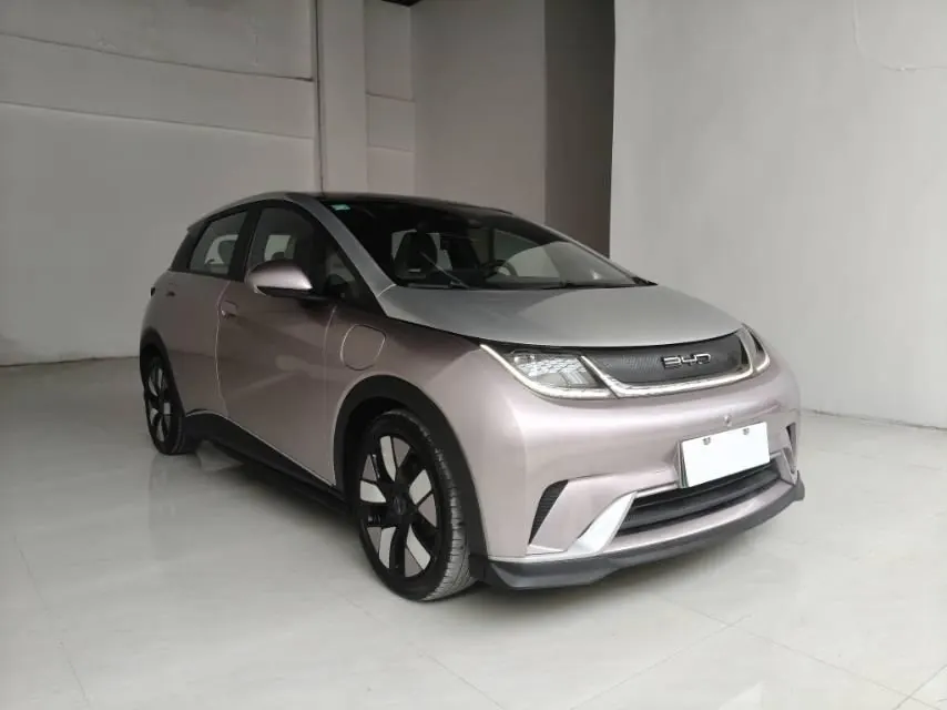 BYD 2021 Dolphins 401km Knight Edition Automatic Gear 2