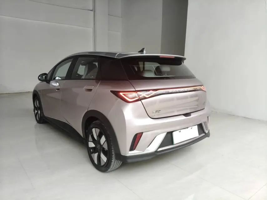 BYD 2021 Dolphins 401km Knight Edition Automatic Gear 3