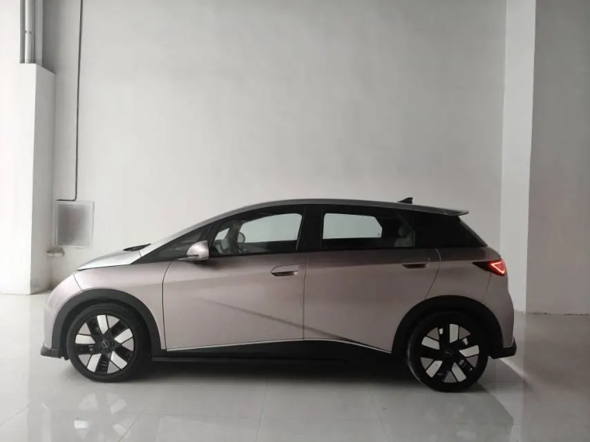 BYD 2021 Dolphins 401km Knight Edition Automatic Gear 4