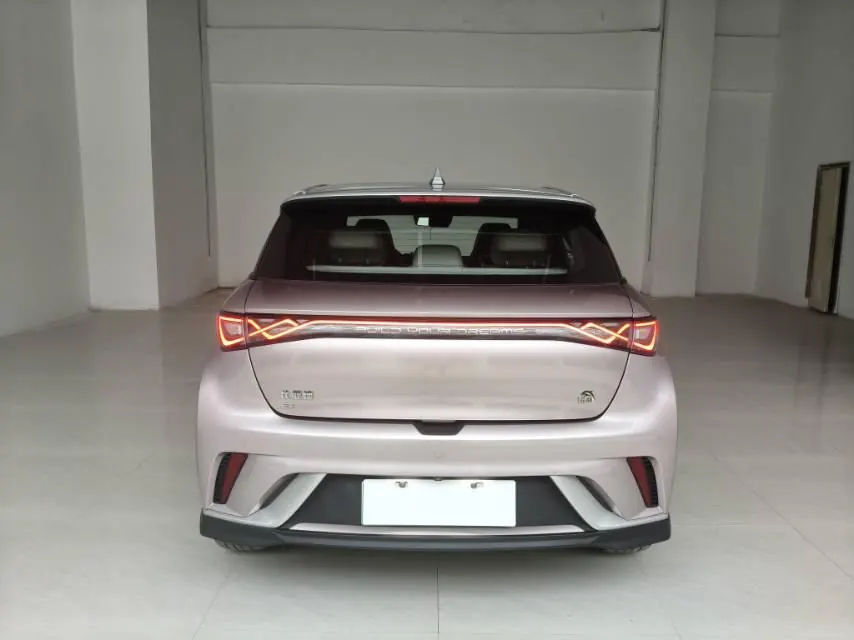 BYD 2021 Dolphins 401km Knight Edition Automatic Gear 5