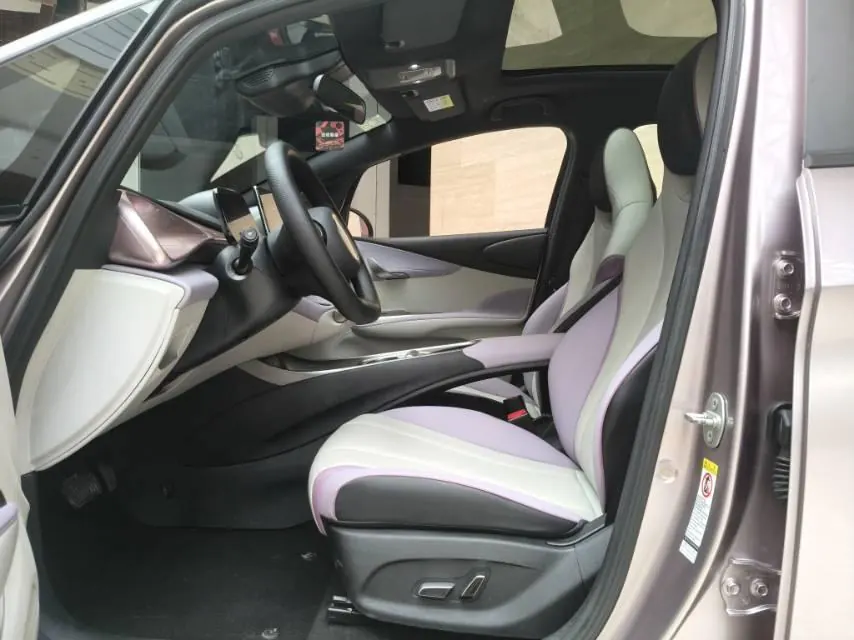 BYD 2021 Dolphins 401km Knight Edition Automatic Gear 7