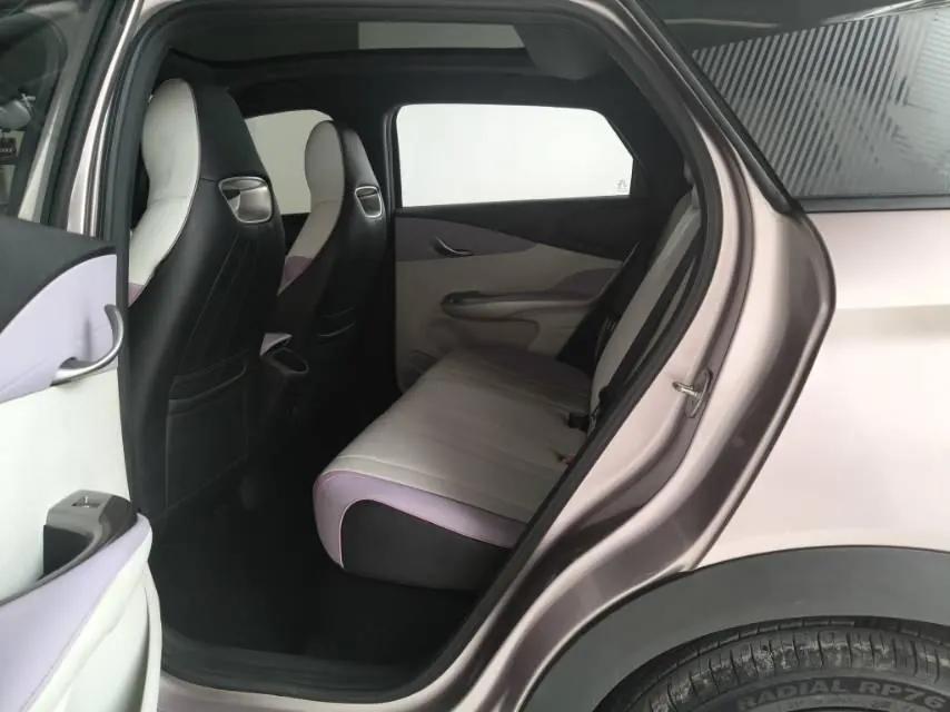 BYD 2021 Dolphins 401km Knight Edition Automatic Gear 8